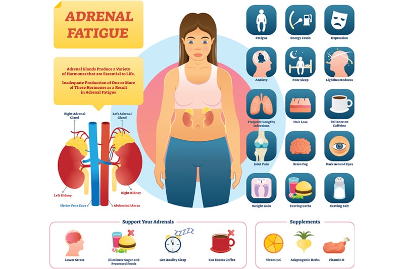 Adrenal Fatigue Symptoms: Understanding the Causes, and Treatments