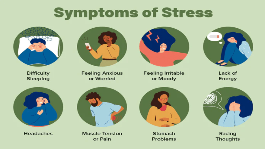  Symptoms of Stress 