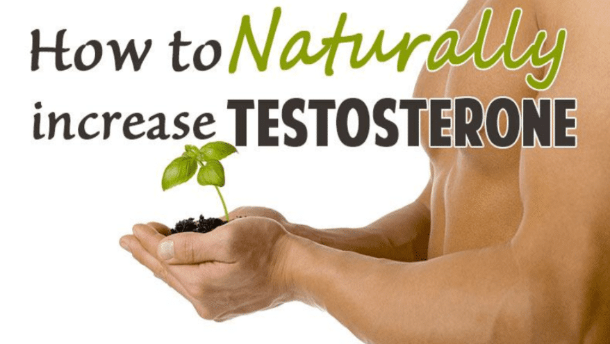 7 Easy Steps to Naturally Increase Testosterone Levels