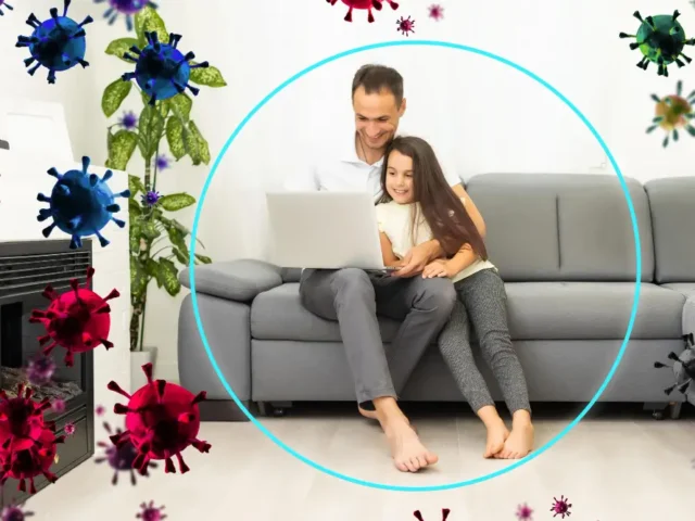 Gut-Immune Connection Explained