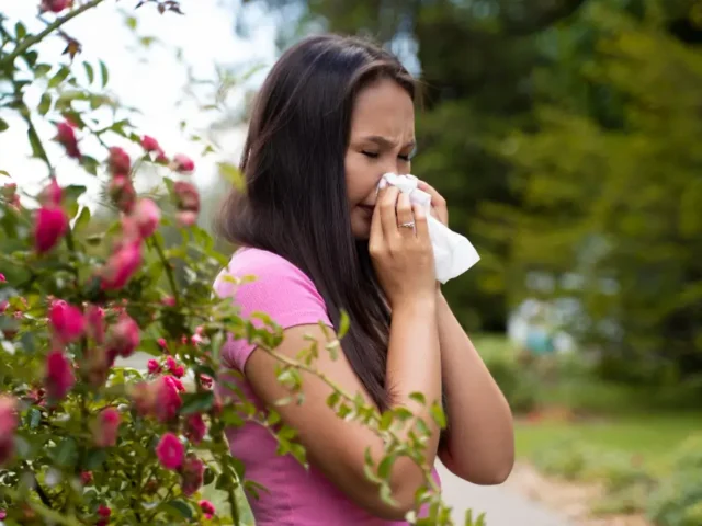 The Best Natural Treatments for Seasonal Allergies