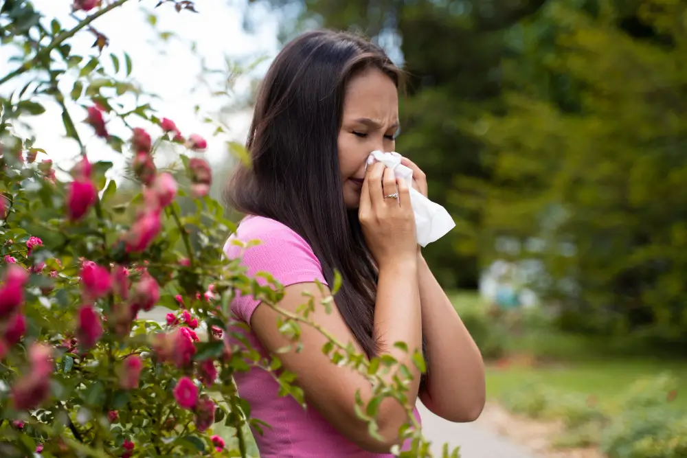 The Best Natural Treatments for Seasonal Allergies