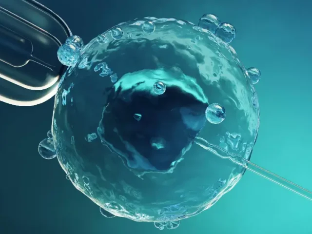 What Is Egg Freezing? A Complete Fertility Preservation Guide