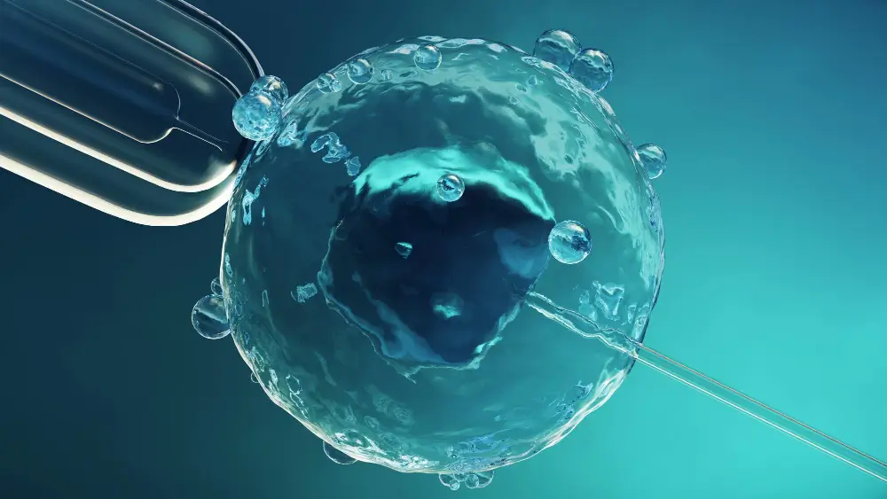 What Is Egg Freezing?