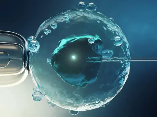 Is Egg Freezing Worth It? Pros, Cons & What to Expect