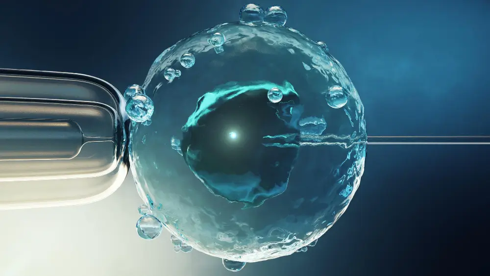 Is Egg Freezing Worth It? Pros, Cons & What to Expect