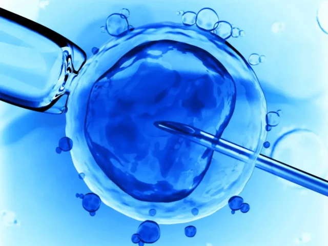 When Should You Freeze Your Eggs? Age, Timing & Success Rates