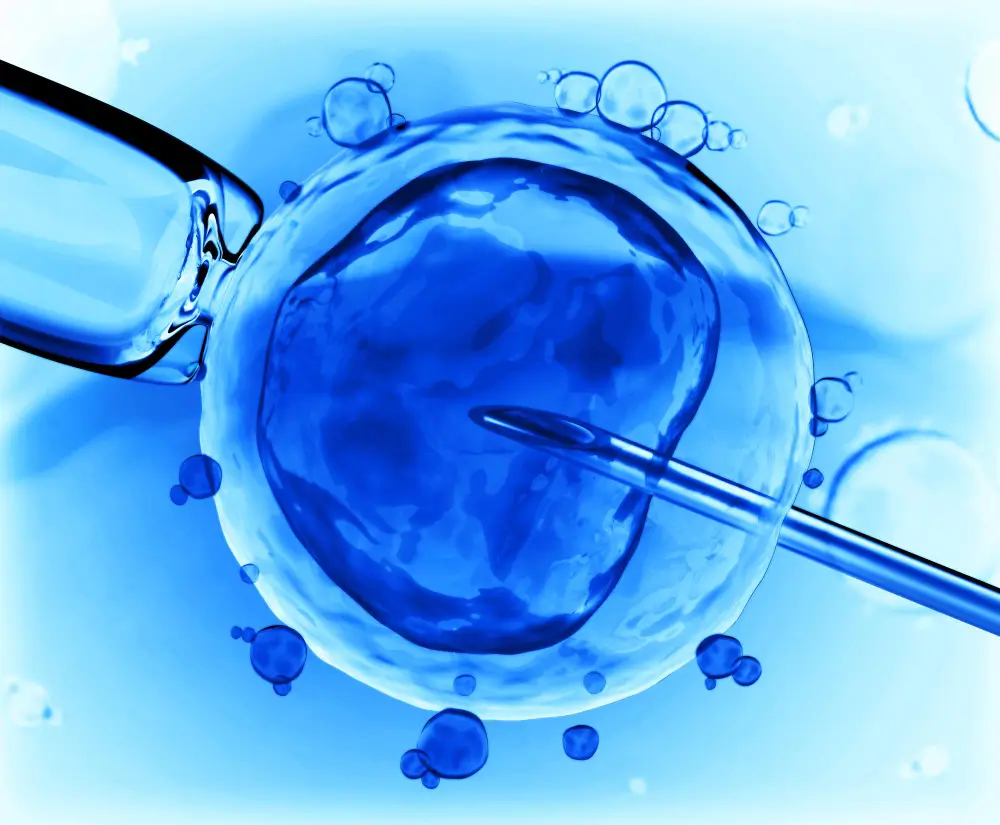 ivf