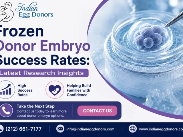 Frozen Donor Embryo Success Rates: Latest Research Insights