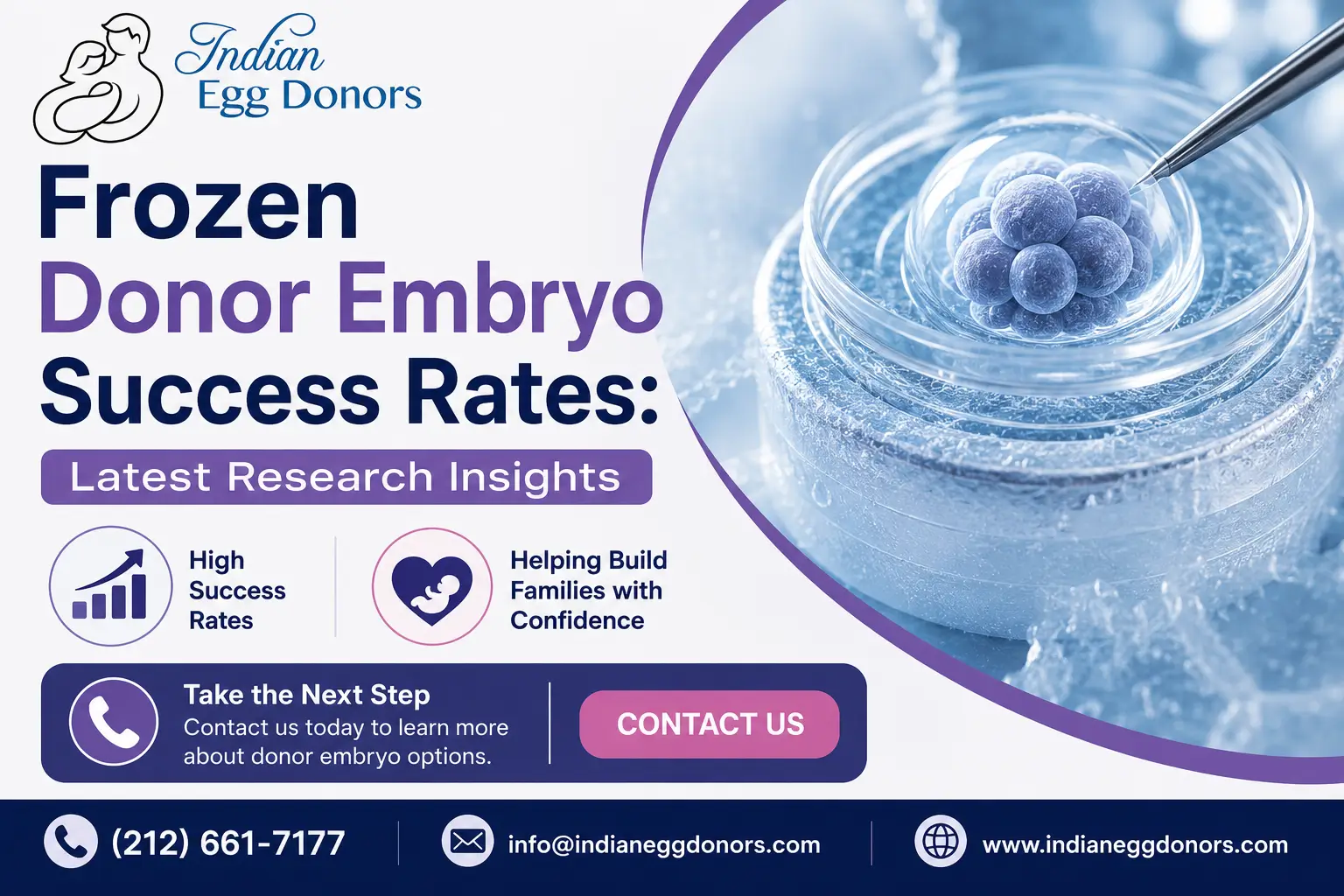 Frozen Donor Embryo Success Rates Latest Research