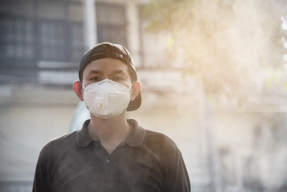 How Environmental Toxins Harm Your Health and Body Function