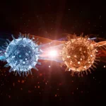 The Link Between Mitochondria and Immunity