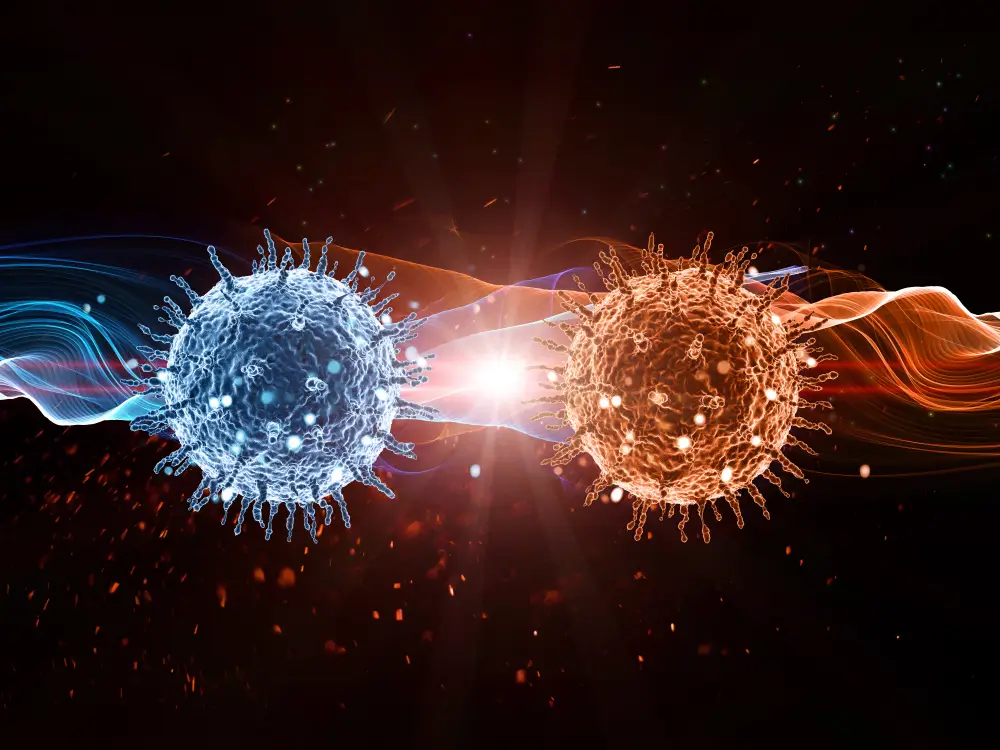 The Link Between Mitochondria and Immunity