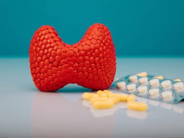 Levothyroxine Recall 2026 vs. Past Recalls: What Makes This One Different?