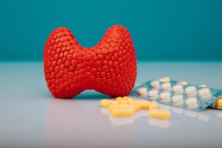 Levothyroxine Recall 2026 vs. Past Recalls: What Makes This One Different?